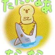 ヒメ日記 2025/07/27 00:52 投稿 なな バッキンガム