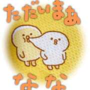 ヒメ日記 2025/10/12 00:21 投稿 なな バッキンガム