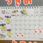 ヒメ日記 2025/12/19 23:34 投稿 なな バッキンガム