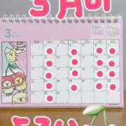 ヒメ日記 2026/02/23 21:28 投稿 なな バッキンガム