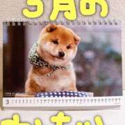 ヒメ日記 2026/03/05 00:46 投稿 なな バッキンガム