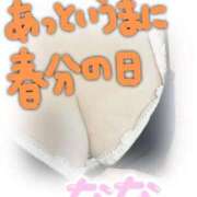 ヒメ日記 2026/03/20 23:59 投稿 なな バッキンガム