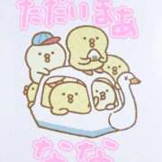 ヒメ日記 2026/03/29 00:24 投稿 なな バッキンガム