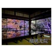 難 あみ 難あみ(スピード日本橋店) スピード日本橋店