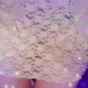 ヒメ日記 2024/12/22 16:24 投稿 さくら 大人の遊園地