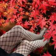 ヒメ日記 2025/10/16 08:22 投稿 さきこ 完熟ばなな千葉店