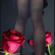 ヒメ日記 2025/12/25 08:22 投稿 さきこ 完熟ばなな千葉店