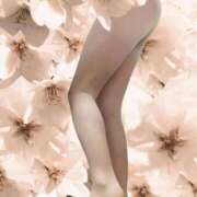 ヒメ日記 2026/04/03 08:31 投稿 さきこ 完熟ばなな千葉店