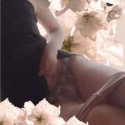 ヒメ日記 2026/04/07 08:24 投稿 さきこ 完熟ばなな千葉店