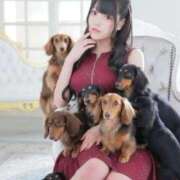 ヒメ日記 2025/11/29 13:36 投稿 雪白うさぎ（美乳・純清楚系） ソープランド ZERO