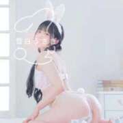 ヒメ日記 2026/02/11 23:46 投稿 雪白うさぎ（美乳・純清楚系） ソープランド ZERO