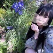 ヒメ日記 2025/12/31 23:15 投稿 つかさ ナイスレディ