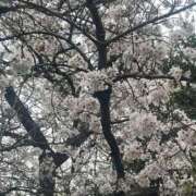 ヒメ日記 2026/04/04 12:37 投稿 あみな One More奥様　立川店