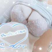 ヒメ日記 2026/03/08 10:55 投稿 あいる/Airu VERY（ヴェリィ)