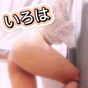 ヒメ日記 2024/12/11 11:45 投稿 いろは 谷町人妻ゴールデン倶楽部