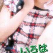 ヒメ日記 2024/12/12 11:55 投稿 いろは 谷町人妻ゴールデン倶楽部