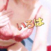 ヒメ日記 2024/12/13 11:55 投稿 いろは 谷町人妻ゴールデン倶楽部