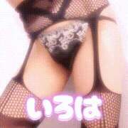 ヒメ日記 2025/04/12 21:00 投稿 いろは 谷町人妻ゴールデン倶楽部