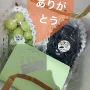 ヒメ日記 2025/08/31 03:35 投稿 いろは 谷町人妻ゴールデン倶楽部