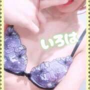 いろは ぬくもり 谷町人妻ゴールデン倶楽部