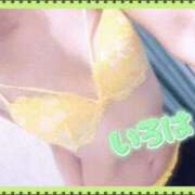 ヒメ日記 2026/02/10 04:00 投稿 いろは 谷町人妻ゴールデン倶楽部