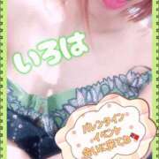 ヒメ日記 2026/02/12 22:40 投稿 いろは 谷町人妻ゴールデン倶楽部