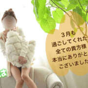 ヒメ日記 2026/04/01 13:25 投稿 いろは 谷町人妻ゴールデン倶楽部