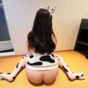 ヒメ日記 2026/01/26 13:23 投稿 うらら もみもみワンダーランド