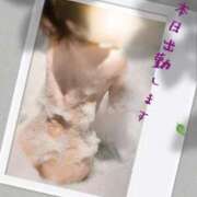 ヒメ日記 2025/04/04 11:30 投稿 こちょう タレント倶楽部Around40