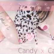 ヒメ日記 2024/01/21 08:00 投稿 ひまり Candy×Candy （キャンディ×キャンディ）