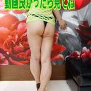 ヒメ日記 2024/12/09 10:00 投稿 綾野【あやの】 丸妻 西船橋店