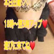 ヒメ日記 2025/02/19 13:00 投稿 綾野【あやの】 丸妻 西船橋店