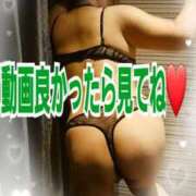 ヒメ日記 2025/03/08 11:01 投稿 綾野【あやの】 丸妻 西船橋店