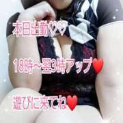 ヒメ日記 2025/03/25 16:00 投稿 綾野【あやの】 丸妻 西船橋店