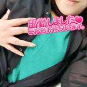 ヒメ日記 2025/04/17 20:30 投稿 綾野【あやの】 丸妻 西船橋店