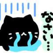 ヒメ日記 2025/08/08 11:05 投稿 綾野【あやの】 丸妻 西船橋店