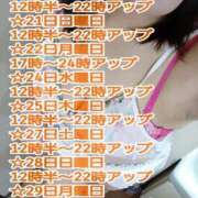 ヒメ日記 2025/12/17 15:06 投稿 綾野【あやの】 丸妻 西船橋店