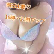 ヒメ日記 2026/02/12 13:12 投稿 綾野【あやの】 丸妻 西船橋店