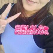 ヒメ日記 2026/02/15 12:39 投稿 綾野【あやの】 丸妻 西船橋店