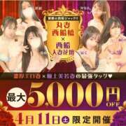 ヒメ日記 2026/04/11 10:14 投稿 綾野【あやの】 丸妻 西船橋店