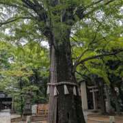 そら ごめんなさい 埼玉西川口ショートケーキ（シンデレラグループ）