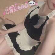 ヒメ日記 2025/04/14 09:10 投稿 きらり ドリーム水戸