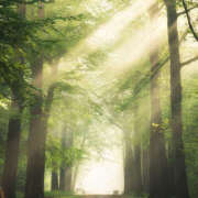 ヒメ日記 2025/05/23 23:04 投稿 きらり ドリーム水戸