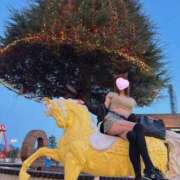 ヒメ日記 2025/11/10 10:29 投稿 Mami セグレターリオ