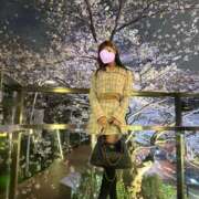 ヒメ日記 2026/03/31 10:36 投稿 Mami セグレターリオ