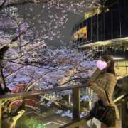 ヒメ日記 2026/04/02 10:41 投稿 Mami セグレターリオ