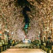 ヒメ日記 2024/12/11 11:13 投稿 西村 鶯谷ワンハート