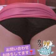 ヒメ日記 2025/02/26 14:16 投稿 西村 鶯谷ワンハート