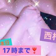 ヒメ日記 2025/09/26 11:46 投稿 西村 鶯谷ワンハート