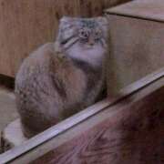 ヒメ日記 2025/12/20 11:55 投稿 西村 鶯谷ワンハート